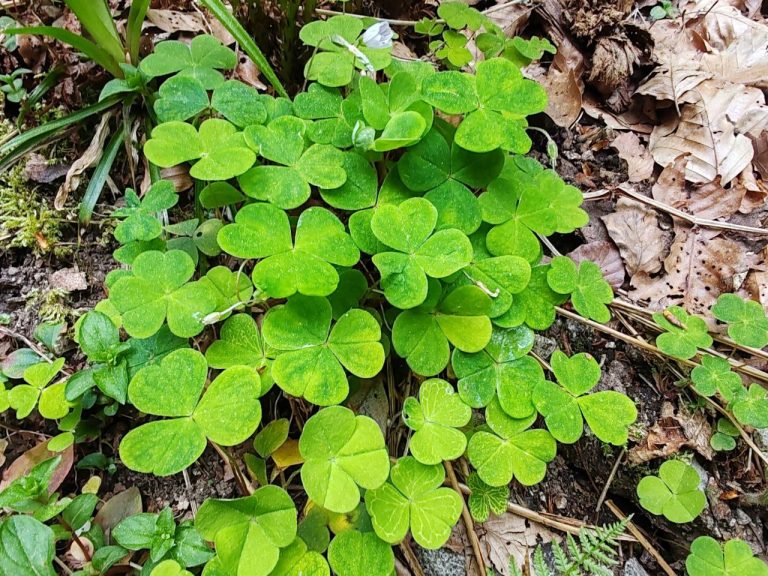 Comment le bilan de compétences peut vous sauver la vie