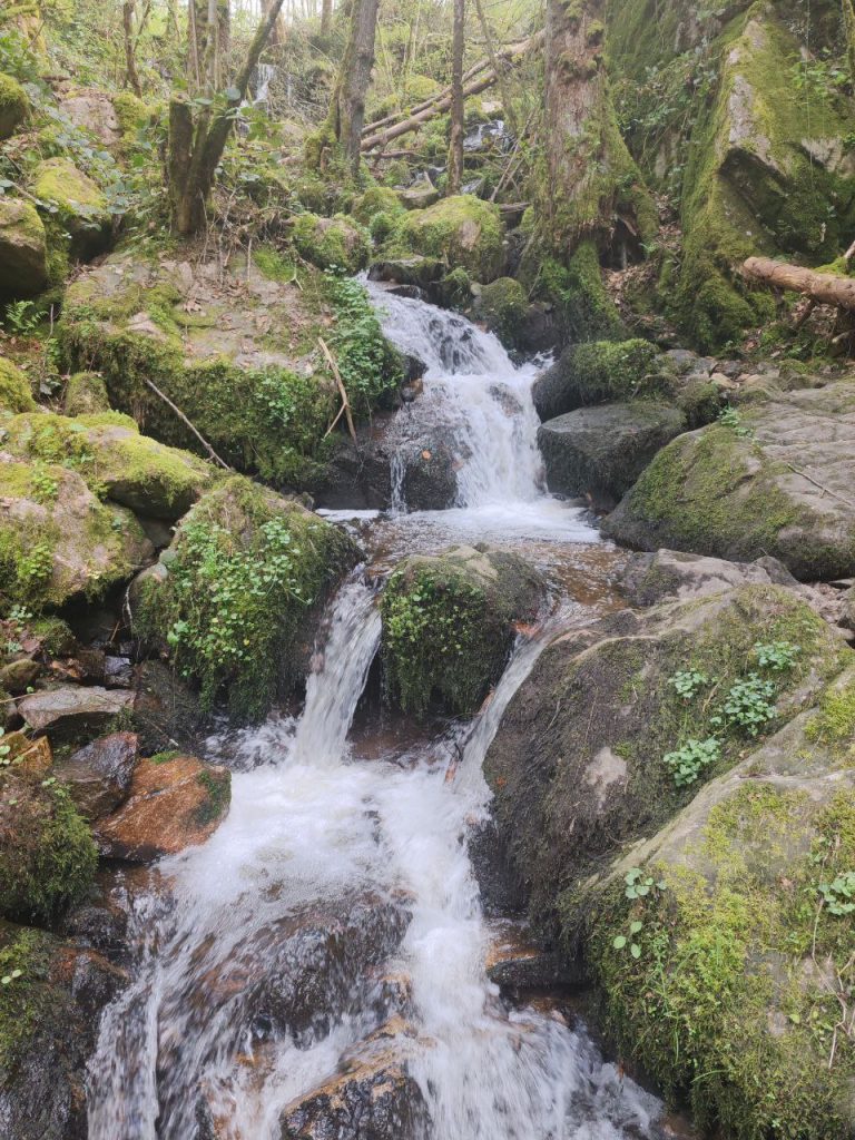 5 besoins essentiels au travail : le guide pour vous épanouir