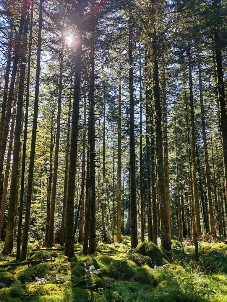 De l&rsquo;équilibre à l&rsquo;osmose : révolution entre vie pro et perso