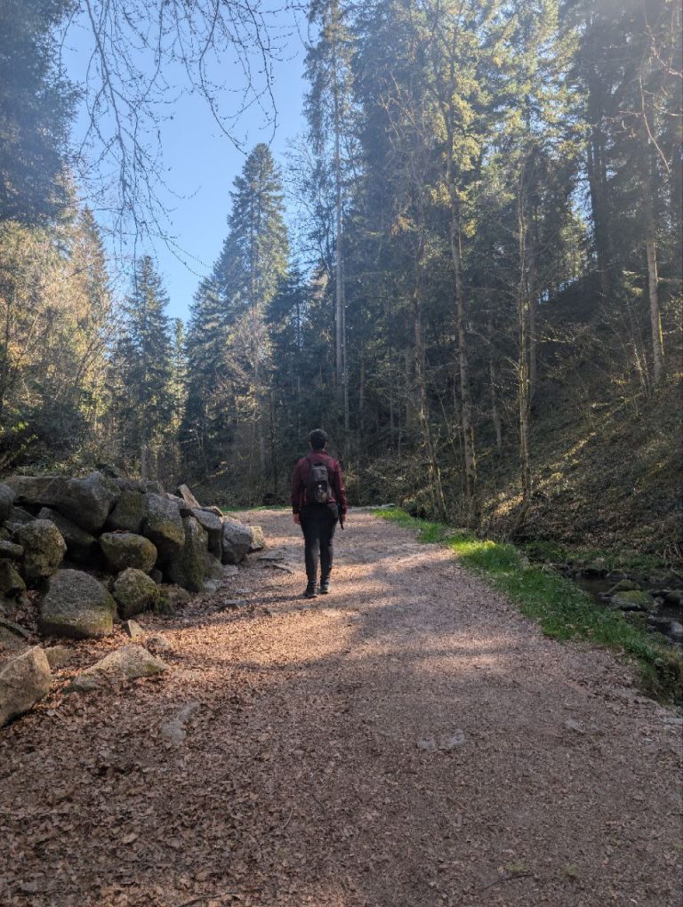 Justine marche de dos dans une forêt