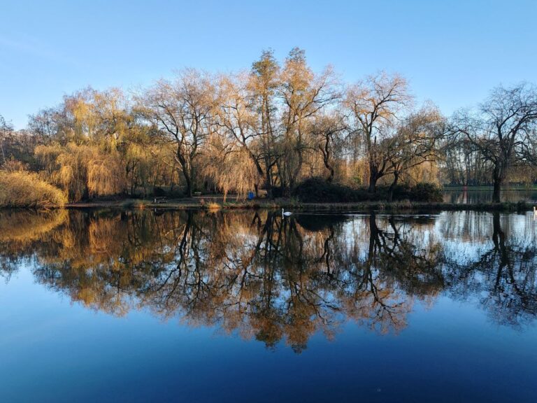 Stop au blues du dimanche soir